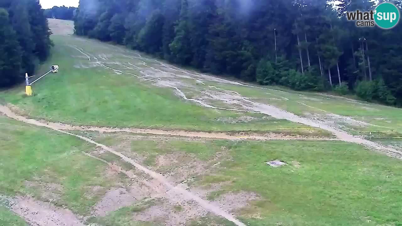 Webcam Pohorje Trikotna Jasa | Poštela
