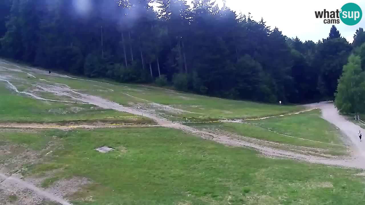 Webcam Pohorje Trikotna Jasa | Poštela