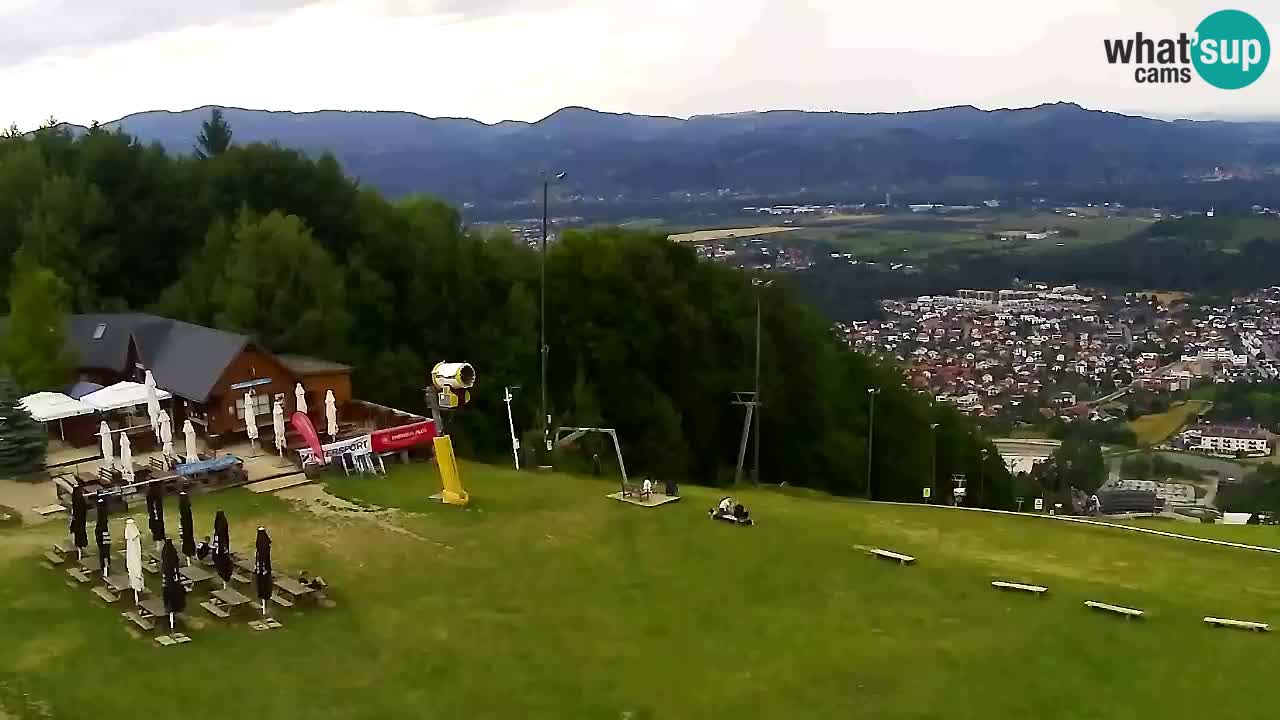 Webcam Pohorje Trikotna Jasa | Poštela