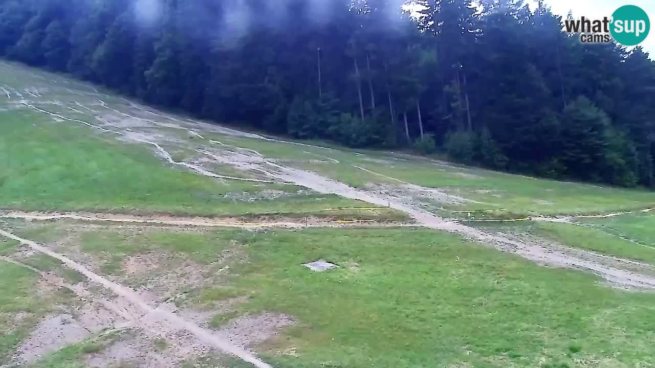 Webcam Pohorje Trikotna Jasa | Poštela