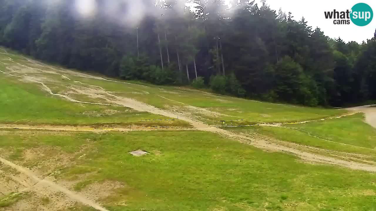 Webcam Pohorje Trikotna Jasa | Poštela