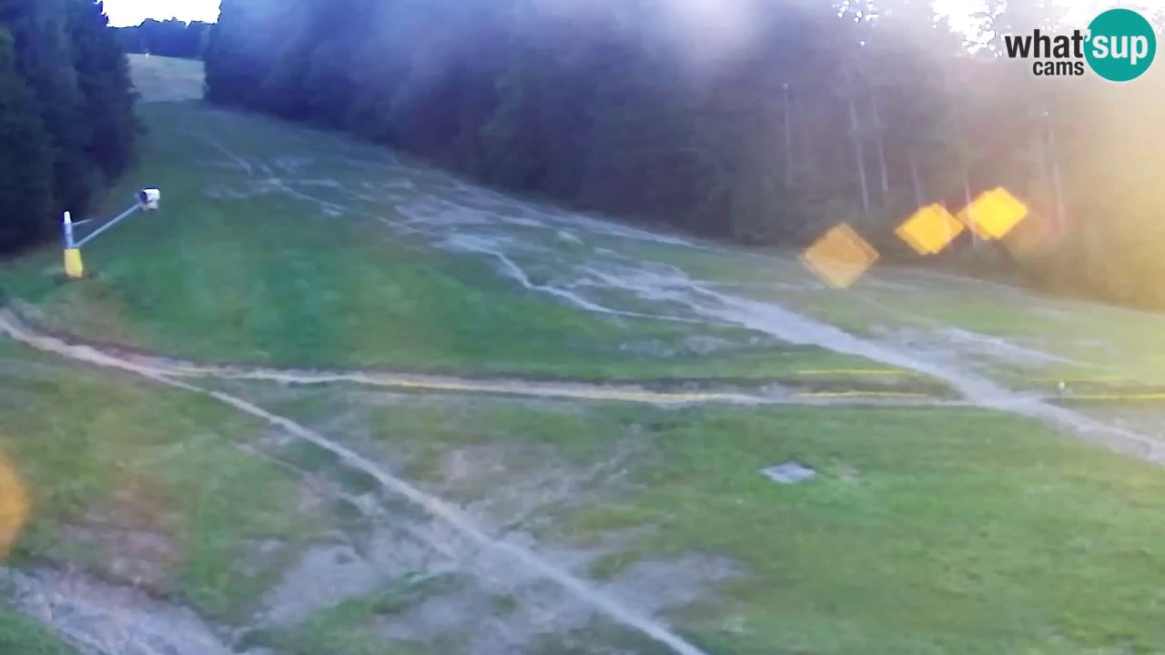 Webcam Pohorje Trikotna Jasa | Poštela