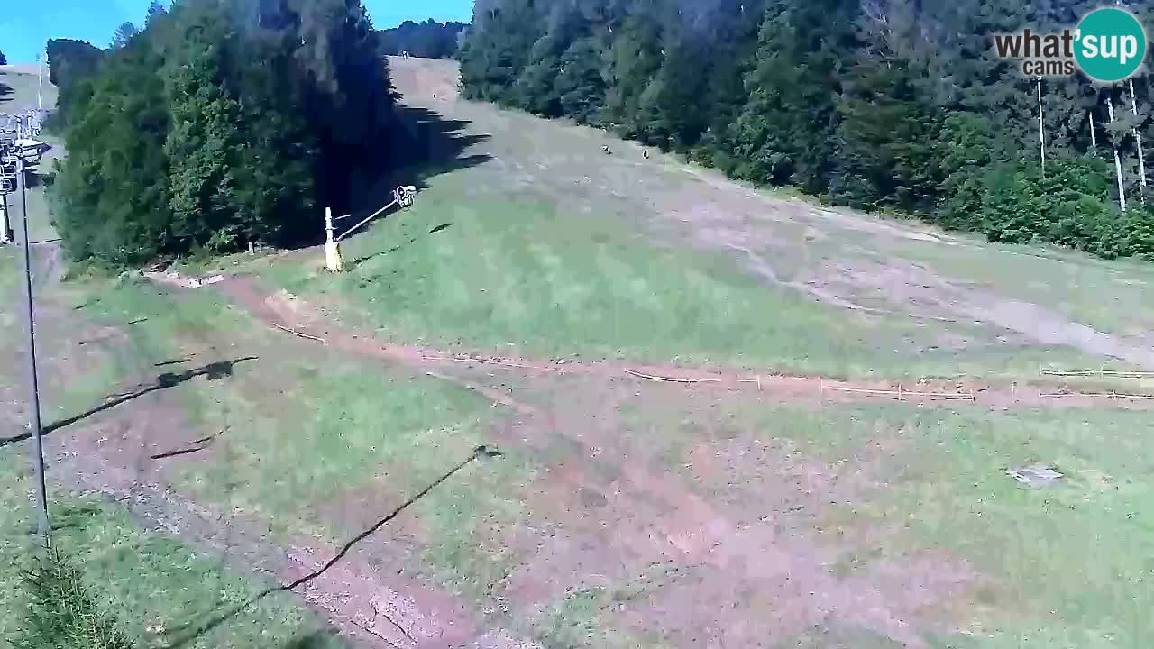 Webcam Pohorje Trikotna Jasa | Poštela