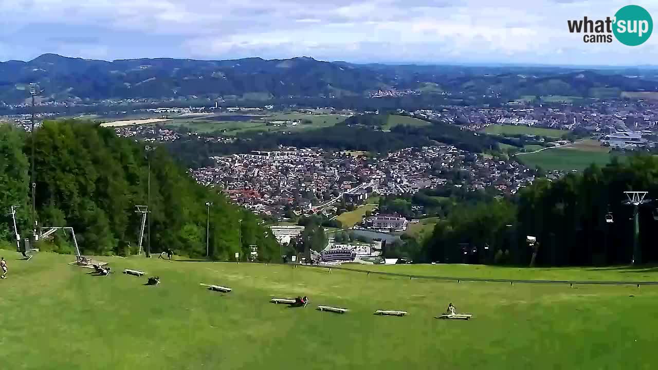 Webcam Pohorje Trikotna Jasa | Poštela