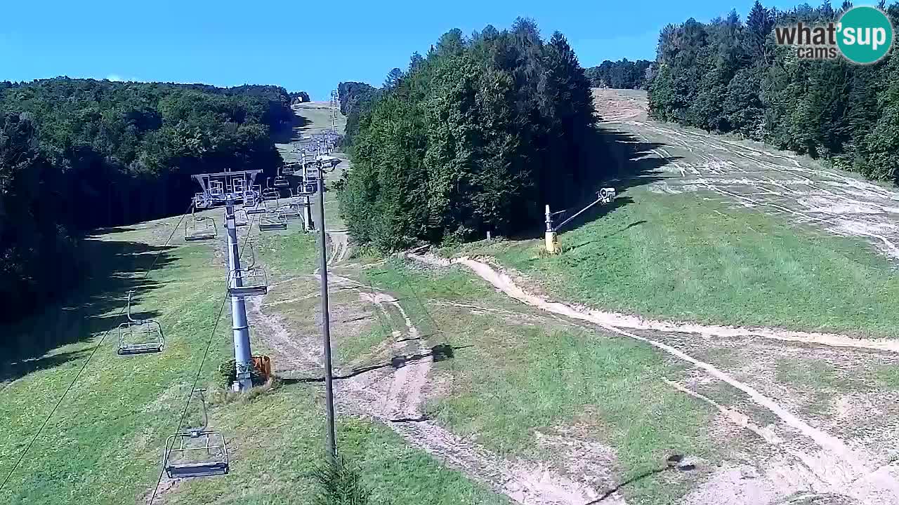 Webcam Pohorje Trikotna Jasa | Poštela