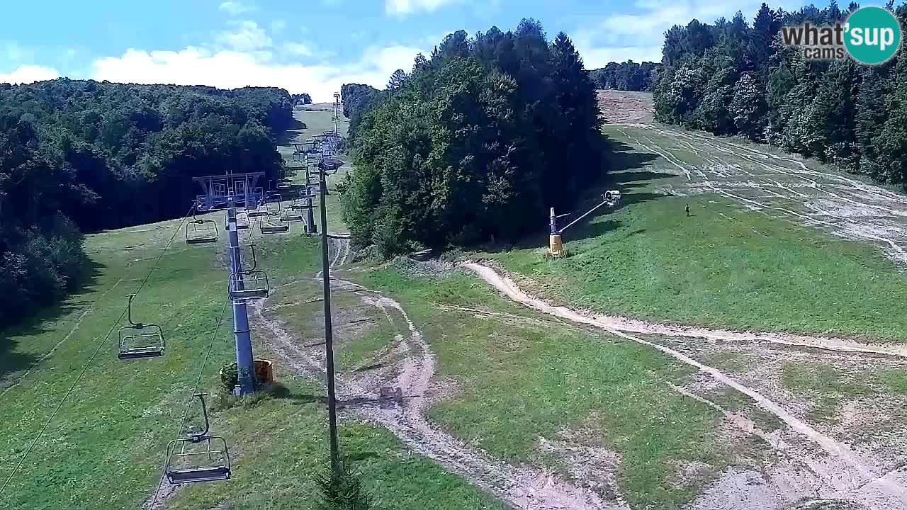 Webcam Pohorje Trikotna Jasa | Poštela