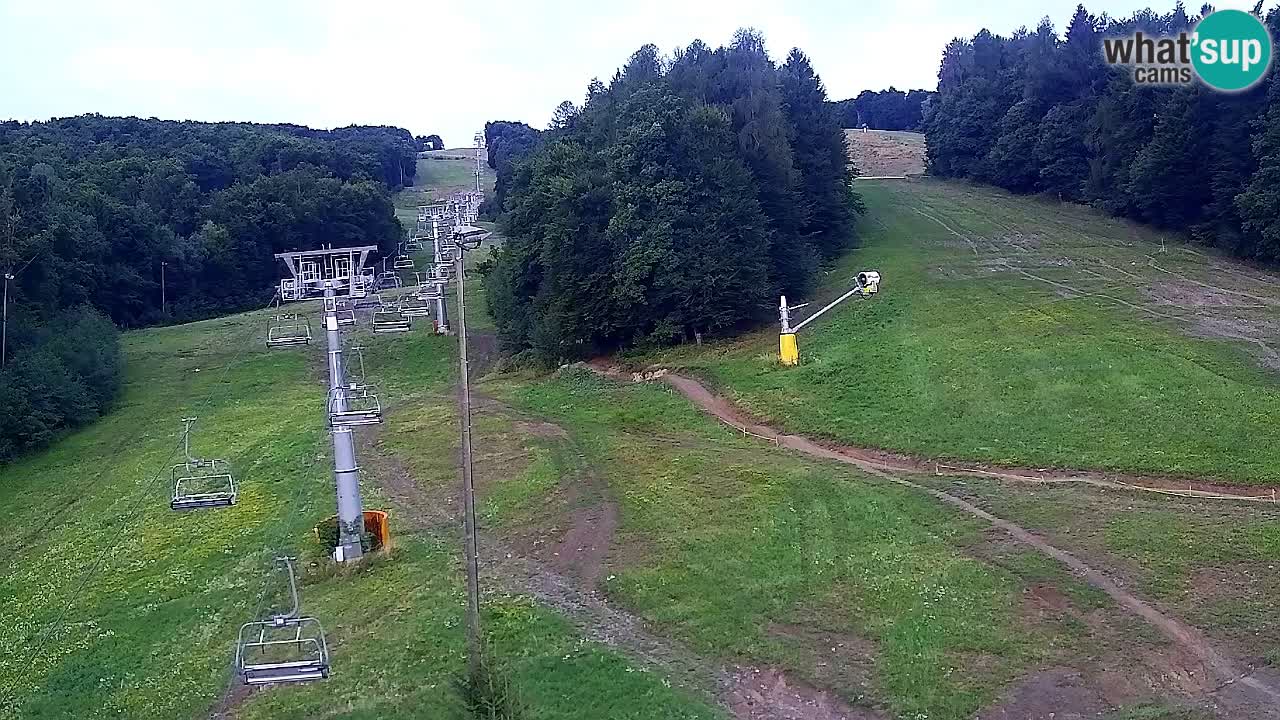 Webcam Pohorje Trikotna Jasa | Poštela