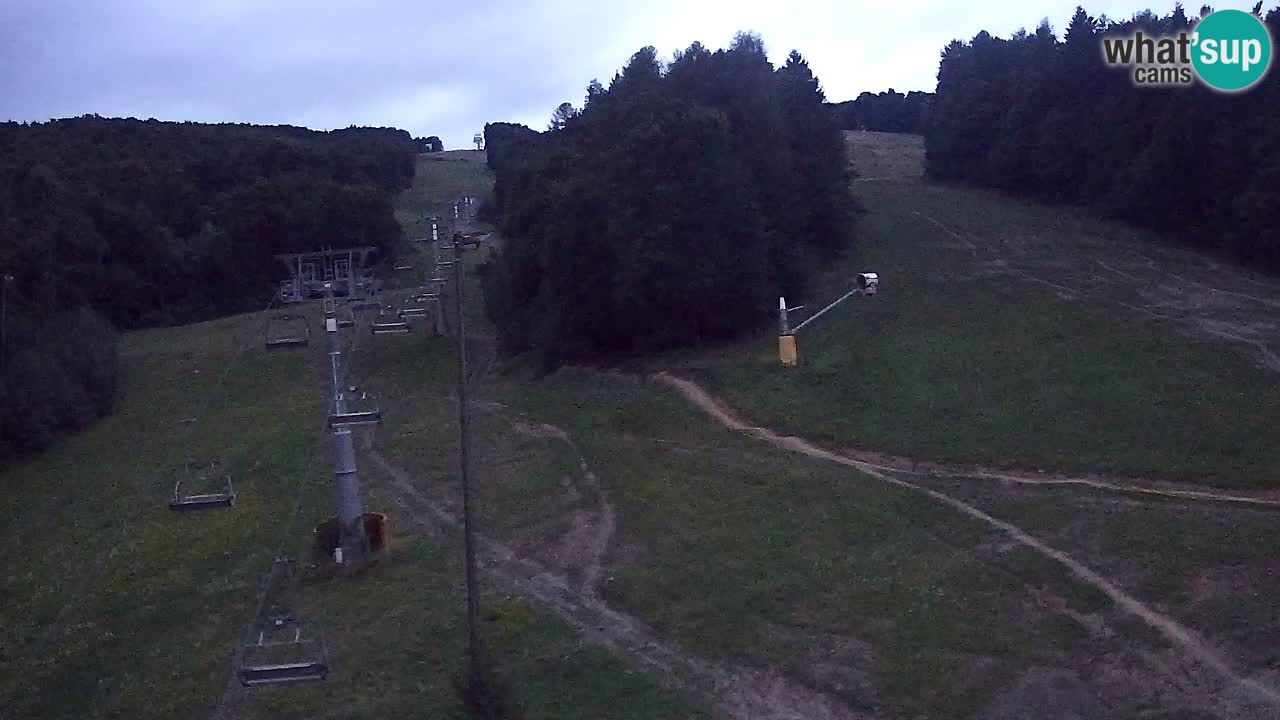Webcam Pohorje Trikotna Jasa | Poštela