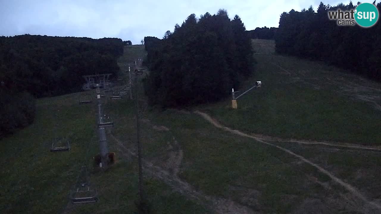 Webcam Pohorje Trikotna Jasa | Poštela