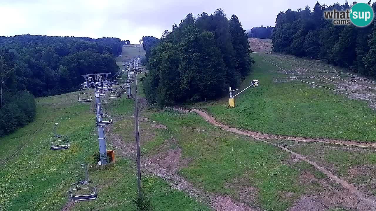 Webcam Pohorje Trikotna Jasa | Poštela