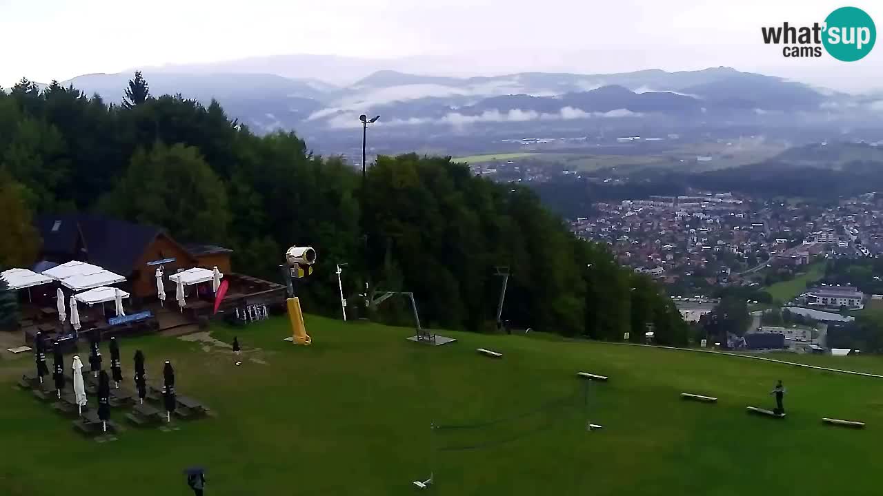 Web Camera Pohorje Trikotna Jasa | Poštela