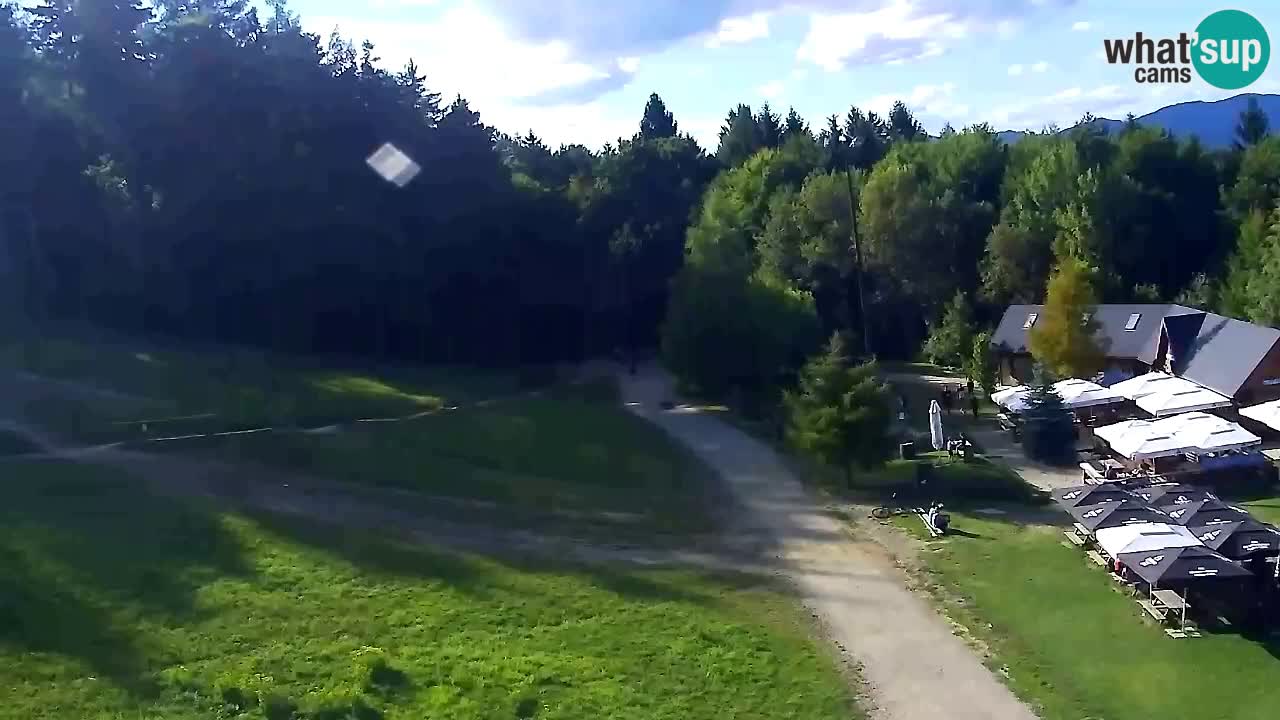 Webcam Pohorje Trikotna Jasa | Poštela