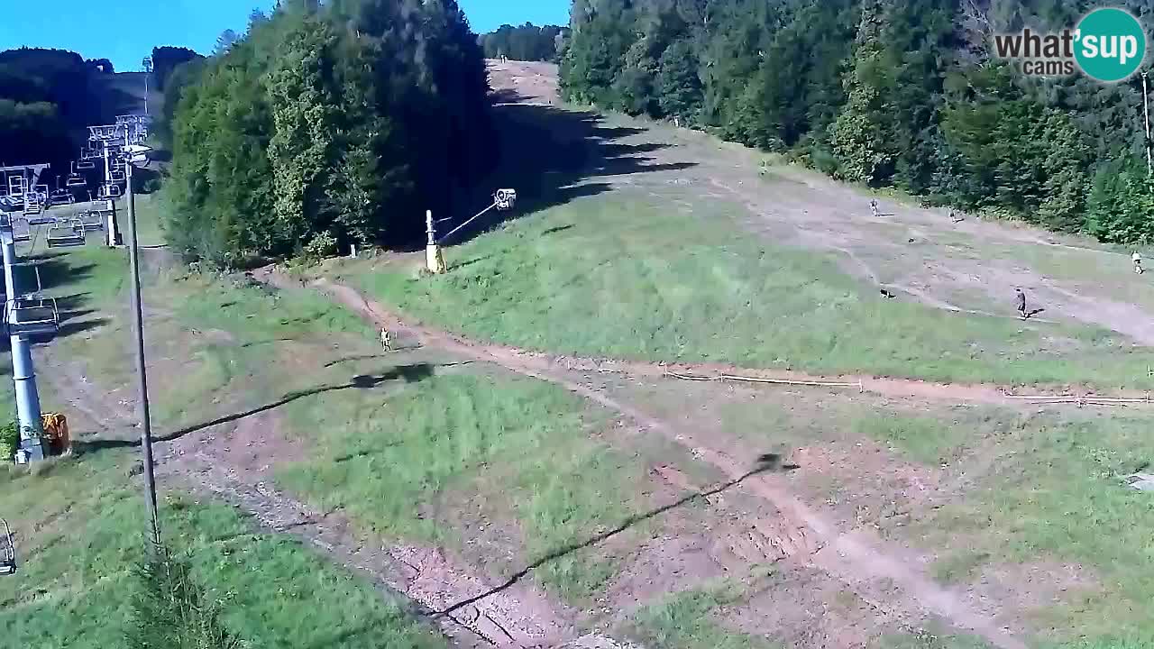 Webcam Pohorje Trikotna Jasa | Poštela