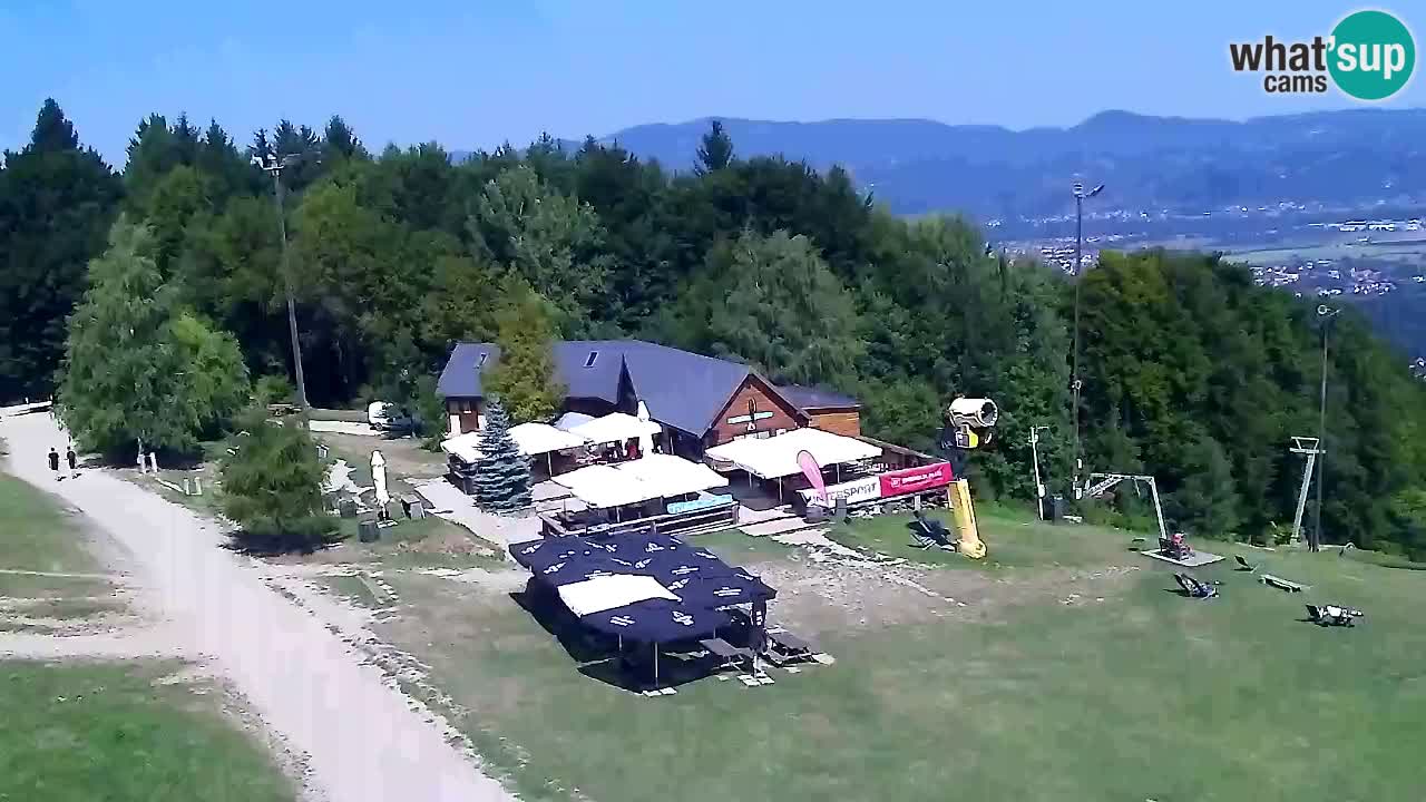 Web kamera Pohorje Trikotna Jasa | Poštela