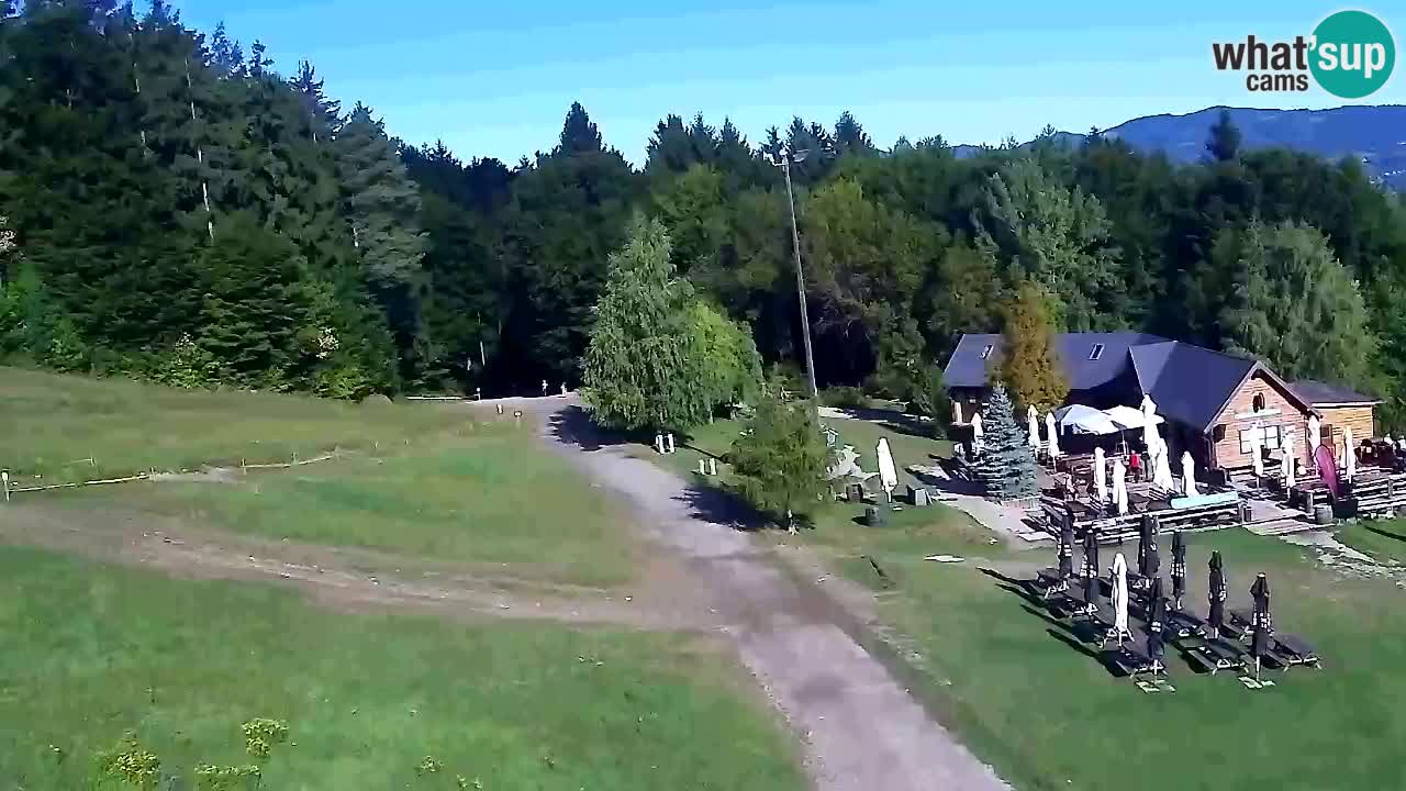 Webcam Pohorje Trikotna Jasa | Poštela