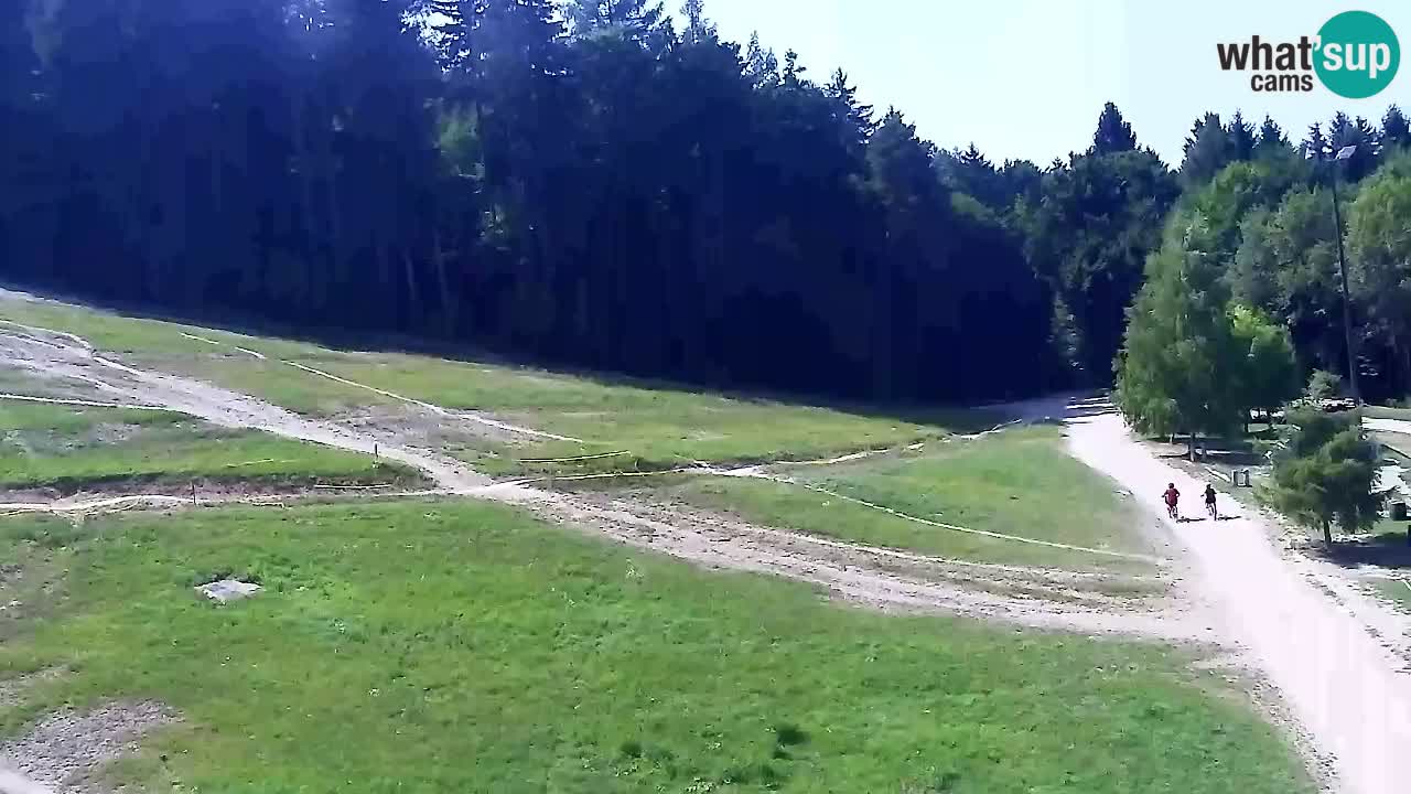 Webcam Pohorje Trikotna Jasa | Poštela