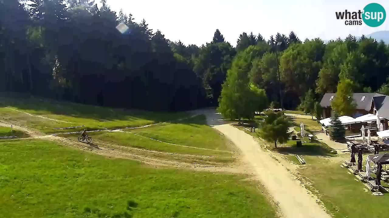 Webcam Pohorje Trikotna Jasa | Poštela