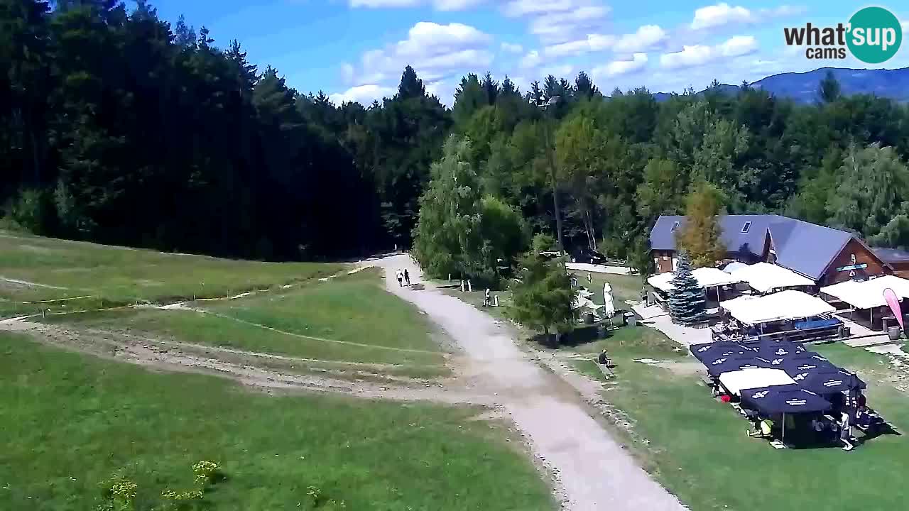 Webcam Pohorje Trikotna Jasa | Poštela