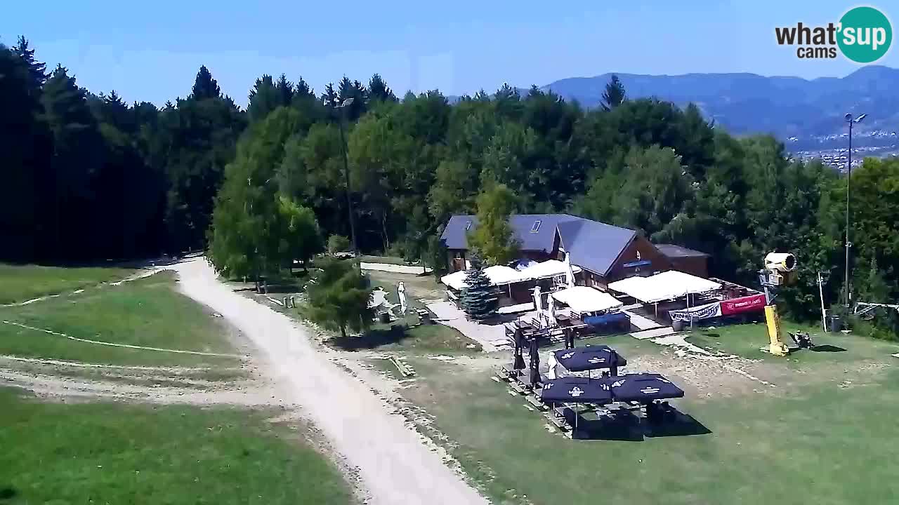 Webcam Pohorje Trikotna Jasa | Poštela
