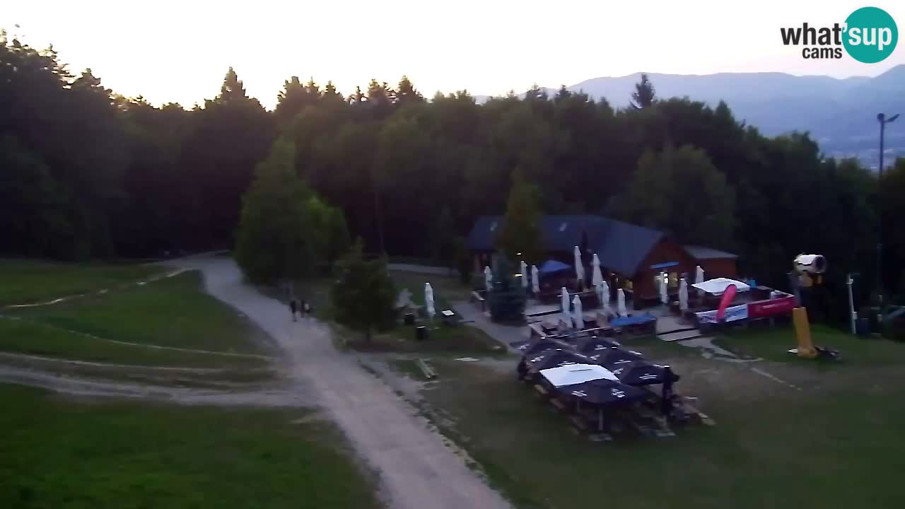 Webcam Pohorje Trikotna Jasa | Poštela
