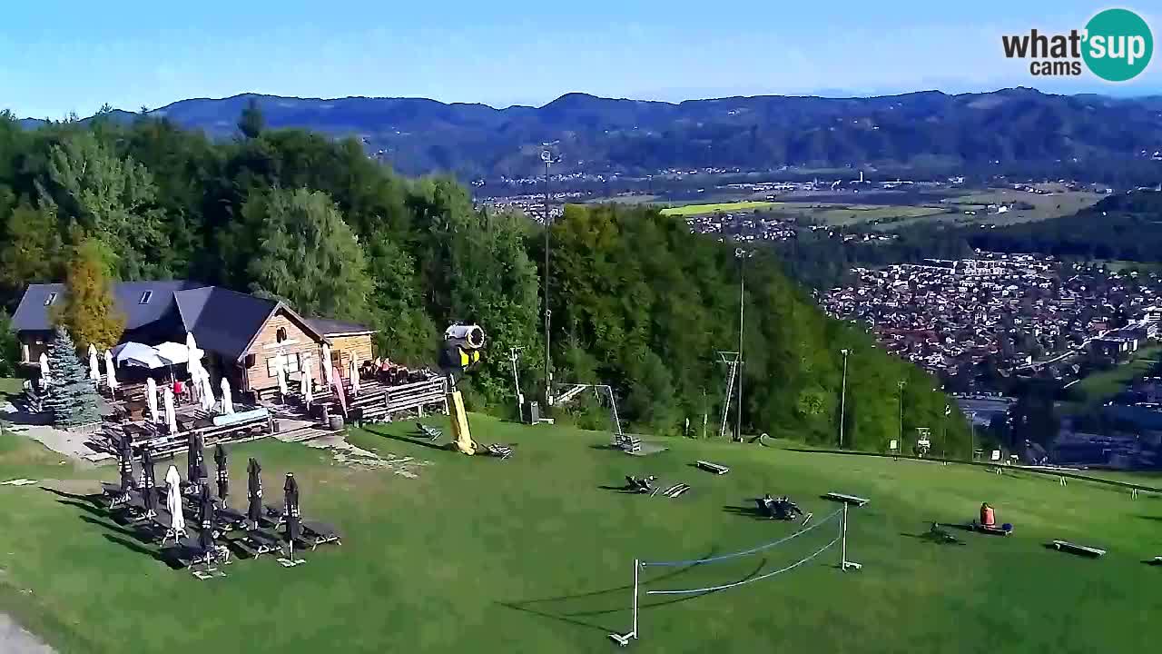 Webcam Pohorje Trikotna Jasa | Poštela