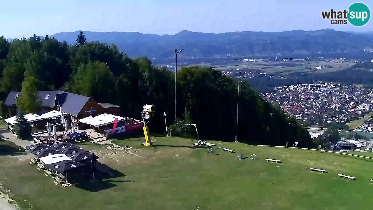 Webcam Pohorje Trikotna Jasa | Poštela