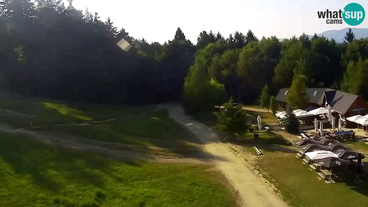 Webcam Pohorje Trikotna Jasa | Poštela