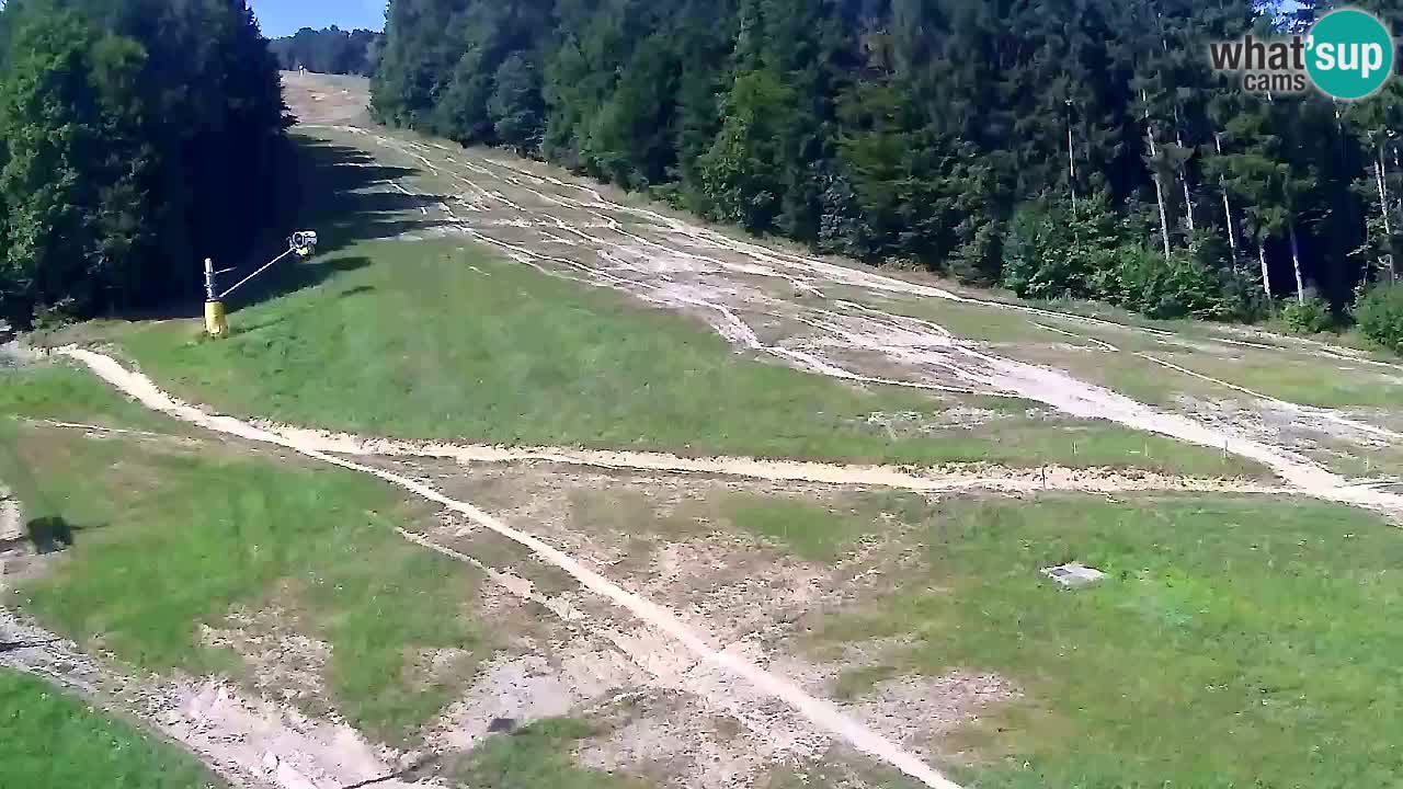 Webcam Pohorje Trikotna Jasa | Poštela