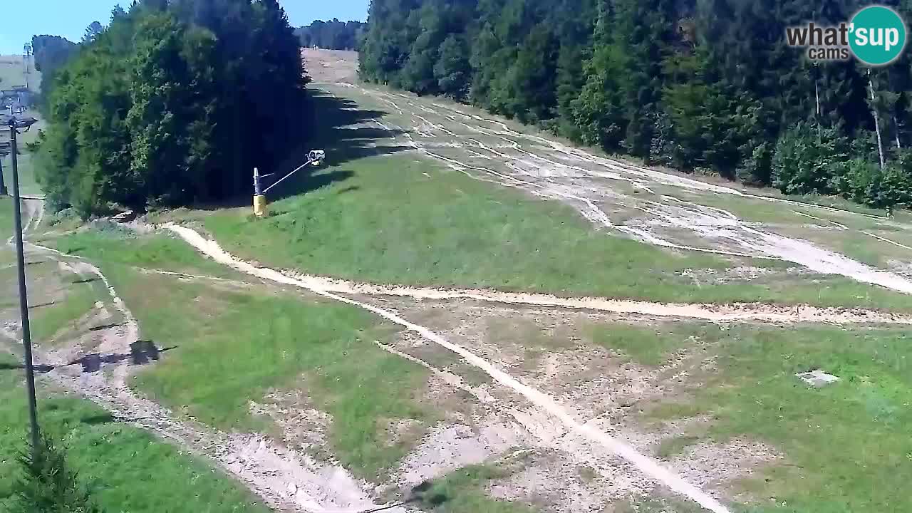 Webcam Pohorje Trikotna Jasa | Poštela