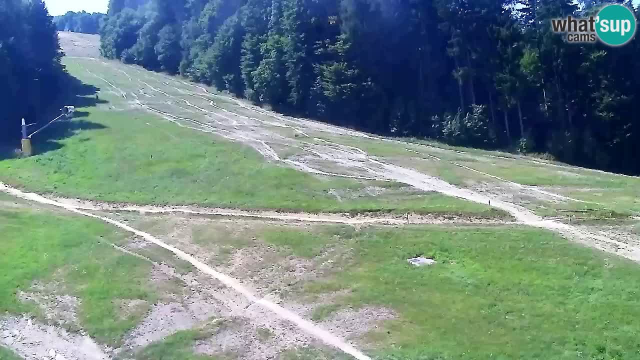 Webcam Pohorje Trikotna Jasa | Poštela