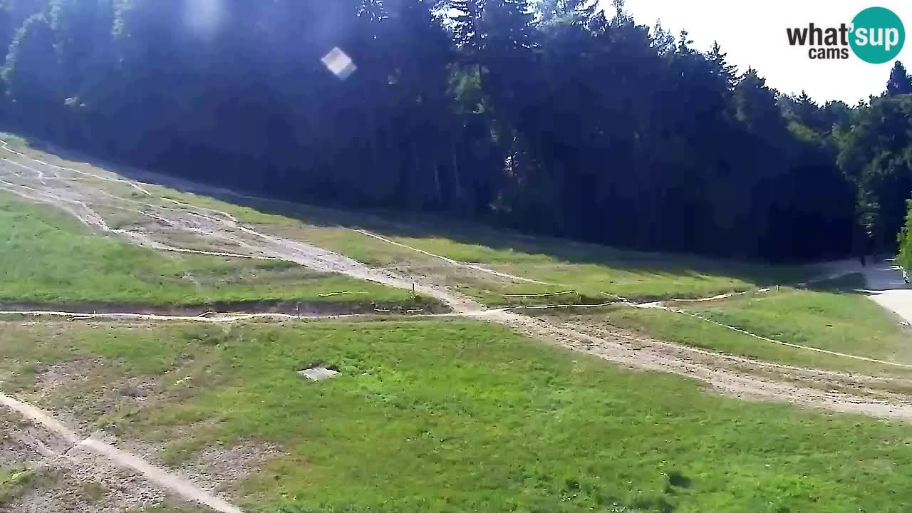 Webcam Pohorje Trikotna Jasa | Poštela