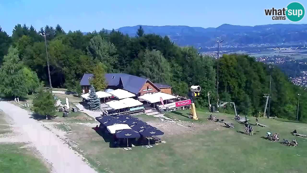 Webcam Pohorje Trikotna Jasa | Poštela