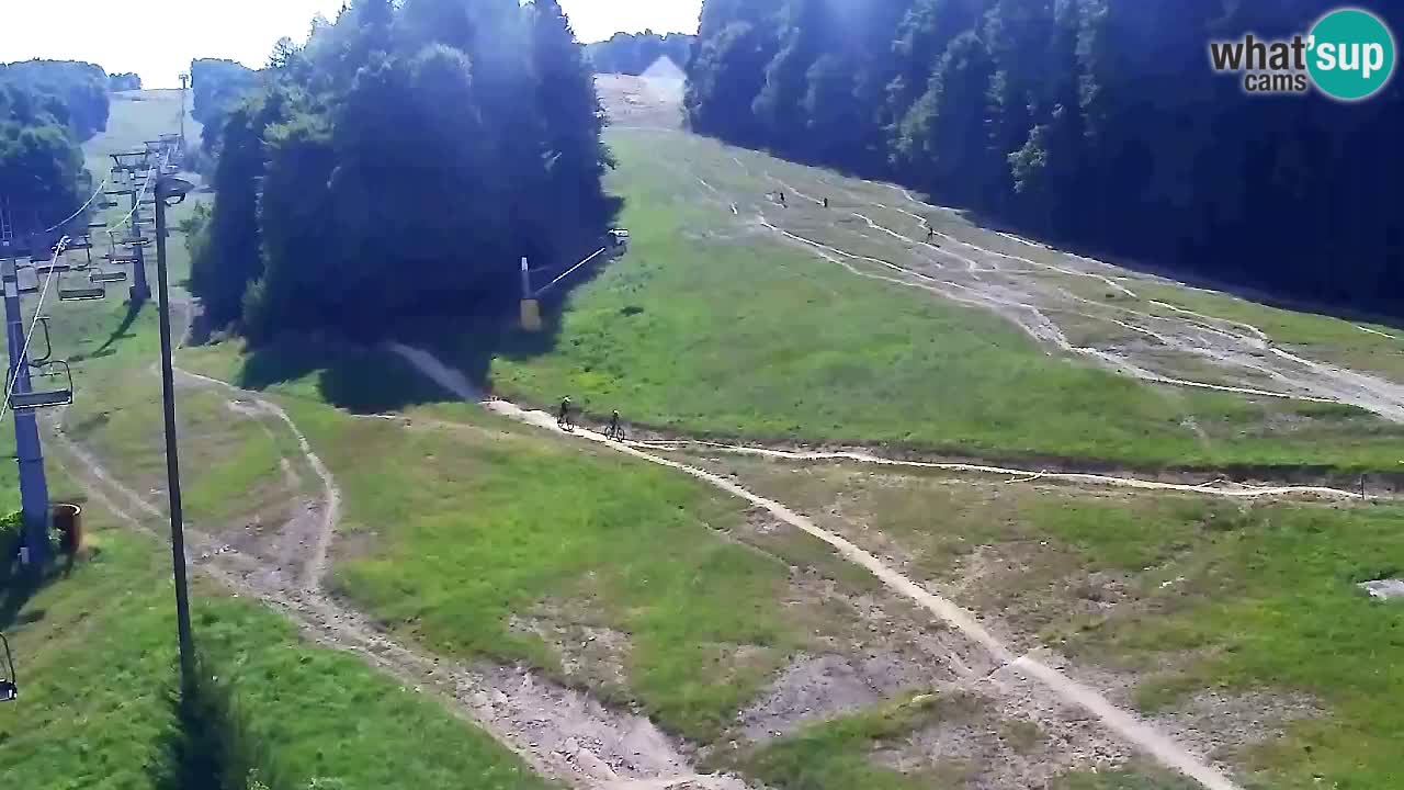 Webcam Pohorje Trikotna Jasa | Poštela