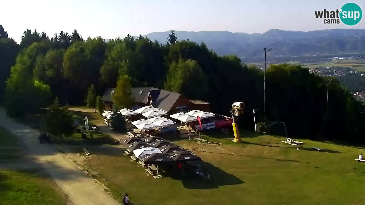 Web Camera Pohorje Trikotna Jasa | Poštela
