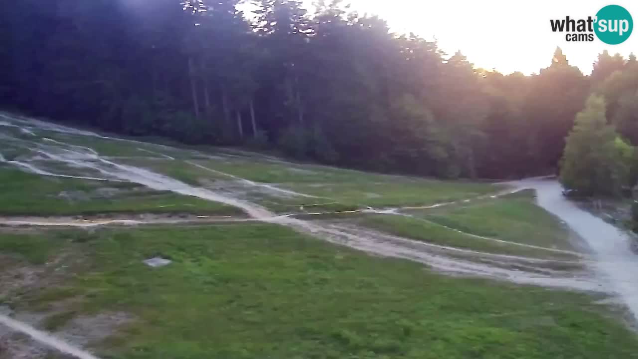 Webcam Pohorje Trikotna Jasa | Poštela