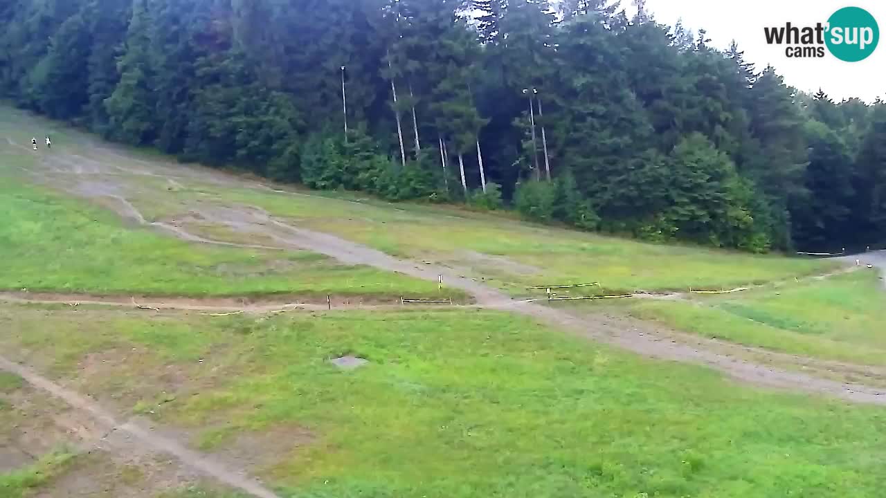 Webcam Pohorje Trikotna Jasa | Poštela