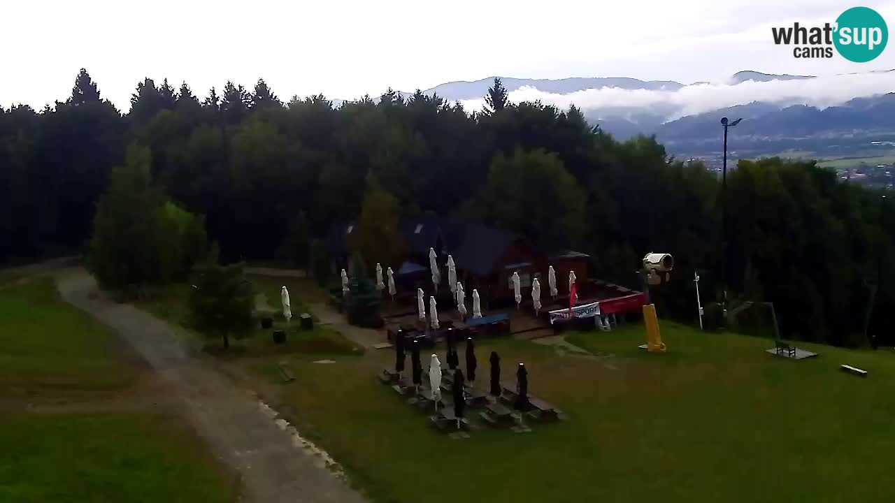 Webcam Pohorje Trikotna Jasa | Poštela