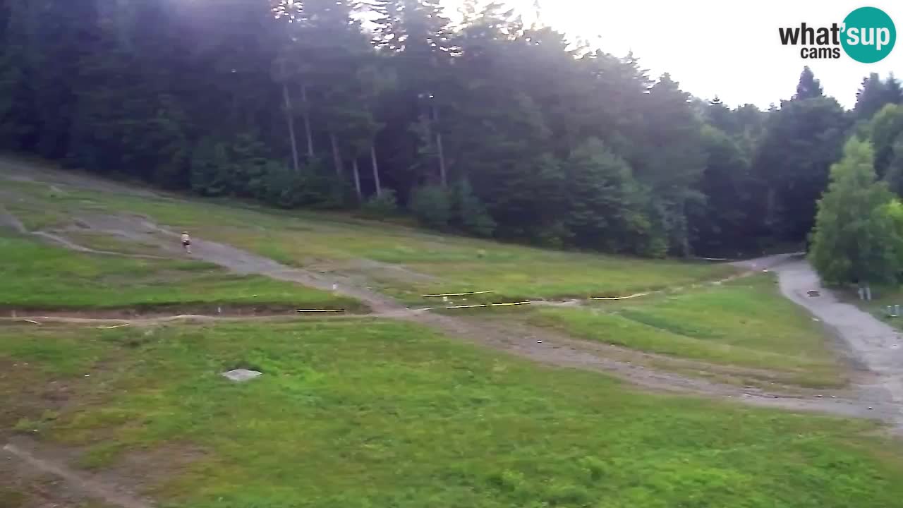 Webcam Pohorje Trikotna Jasa | Poštela