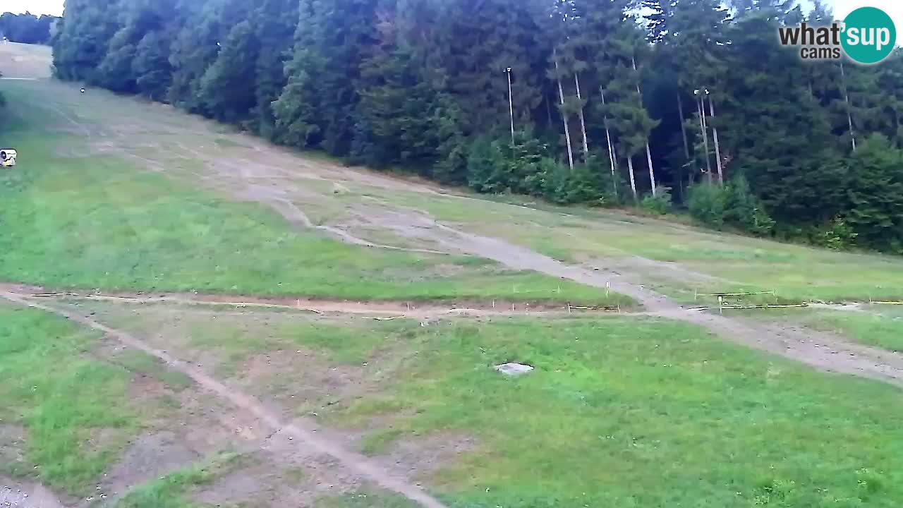 Webcam Pohorje Trikotna Jasa | Poštela