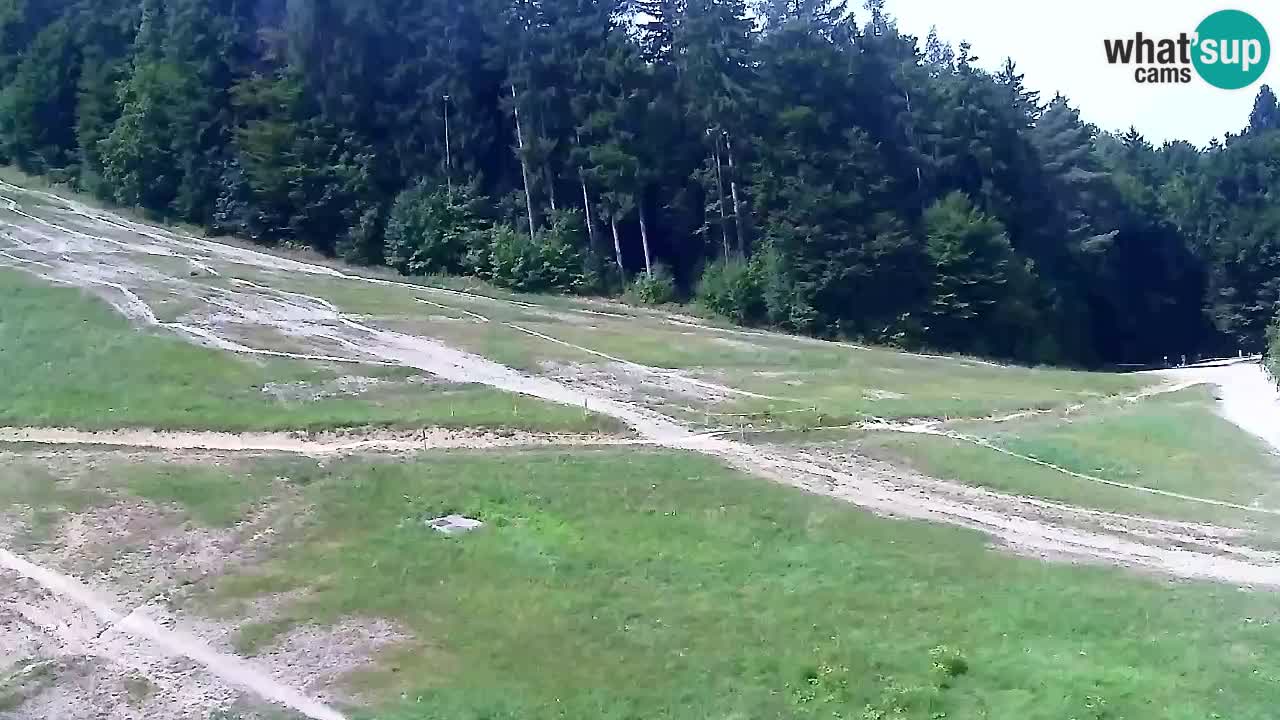 Webcam Pohorje Trikotna Jasa | Poštela