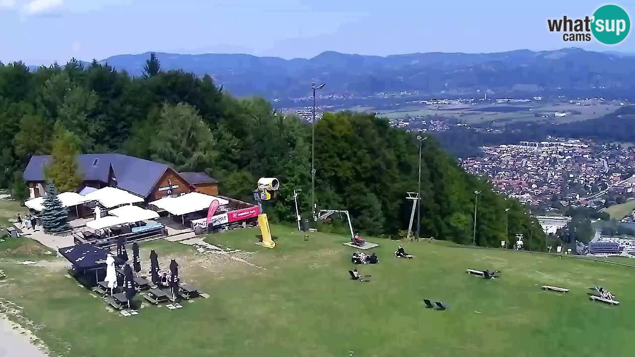 Webcam Pohorje Trikotna Jasa | Poštela