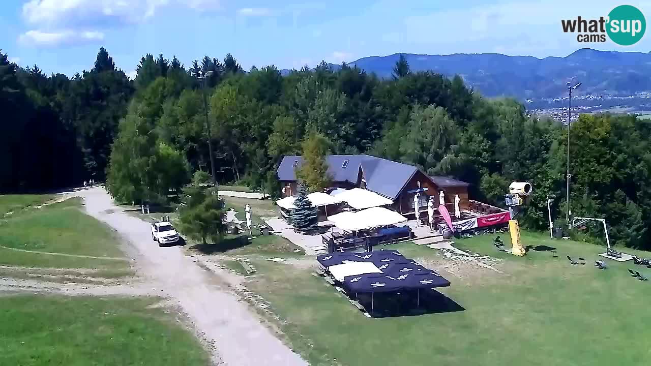 Web Camera Pohorje Trikotna Jasa | Poštela