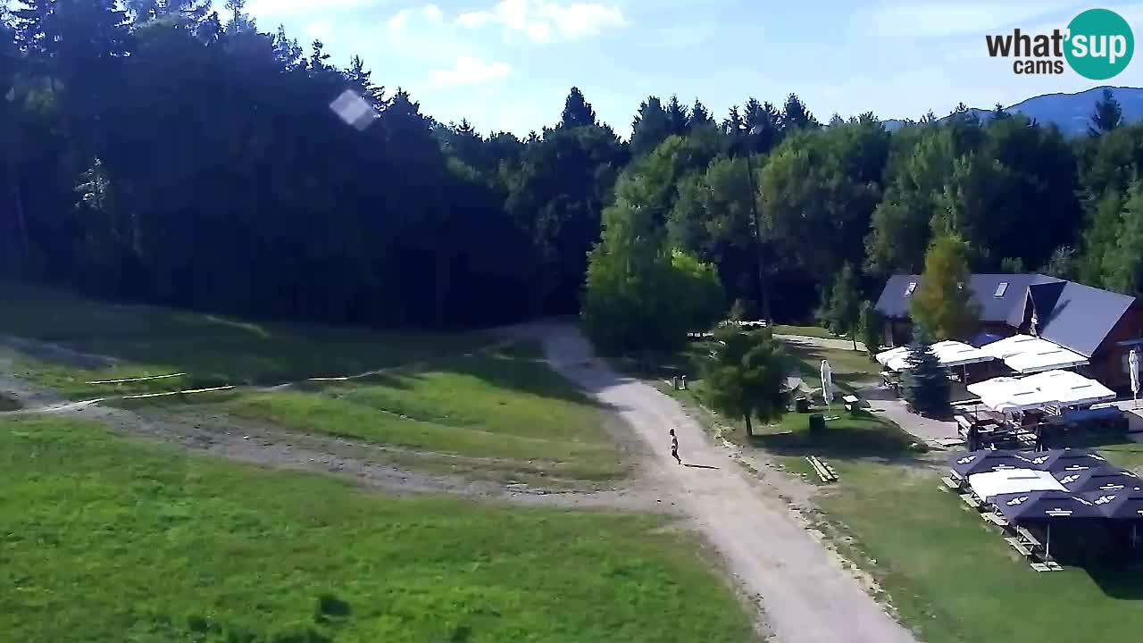 Webcam Pohorje Trikotna Jasa | Poštela