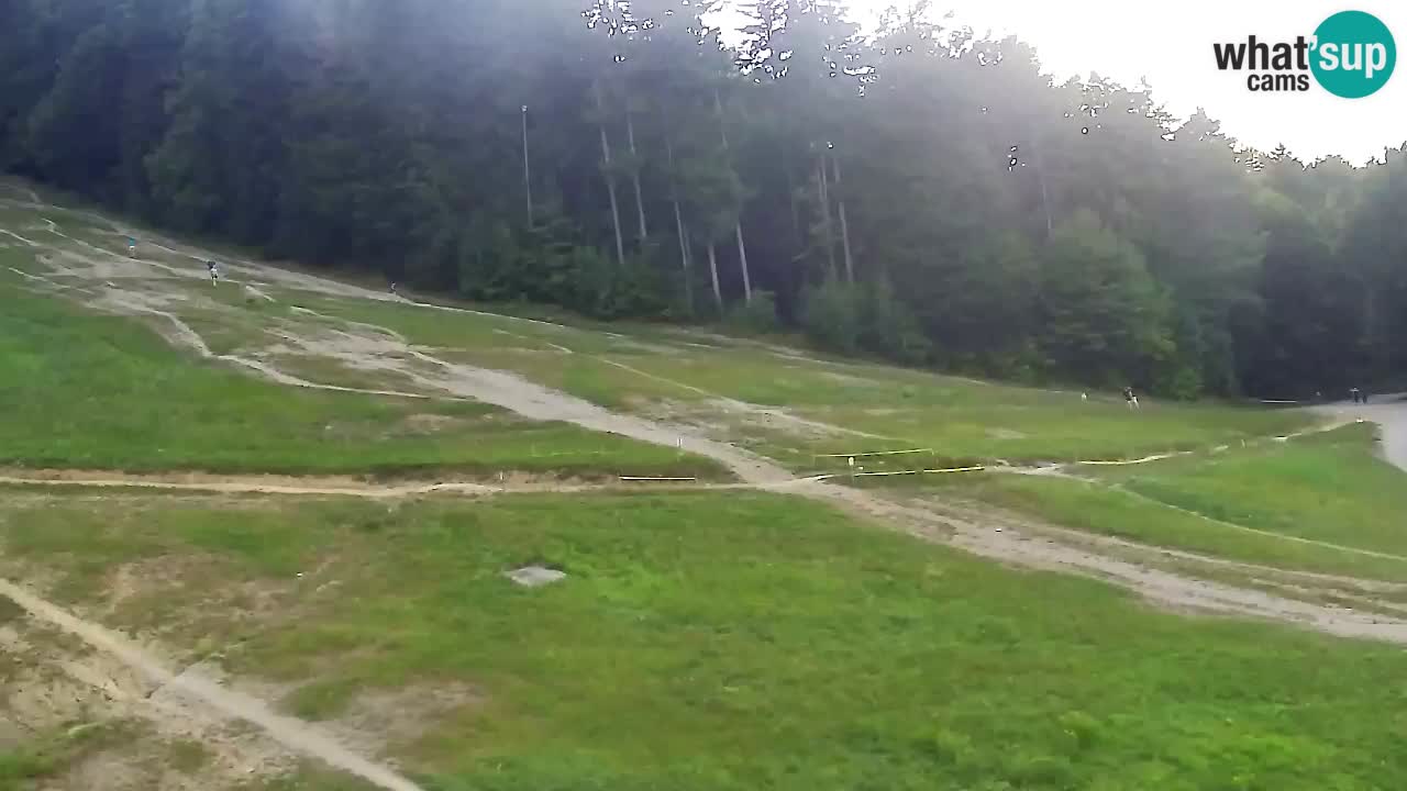 Webcam Pohorje Trikotna Jasa | Poštela