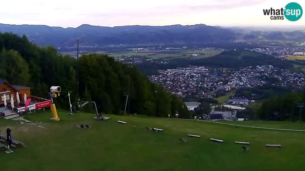 Webcam Pohorje Trikotna Jasa | Poštela