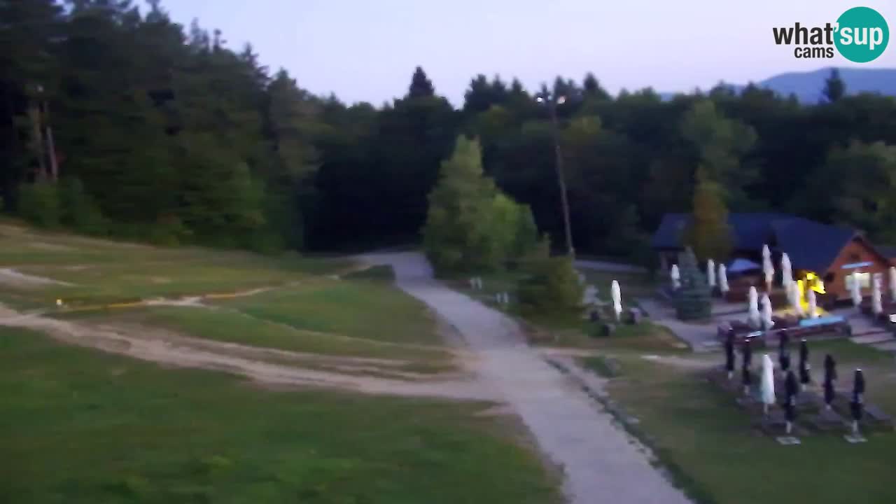 Webcam Pohorje Trikotna Jasa | Poštela