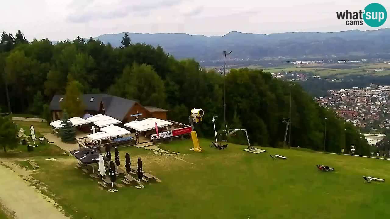 Webcam Pohorje Trikotna Jasa | Poštela