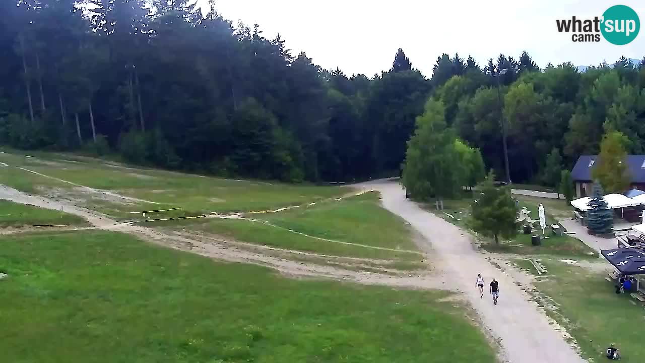 Webcam Pohorje Trikotna Jasa | Poštela