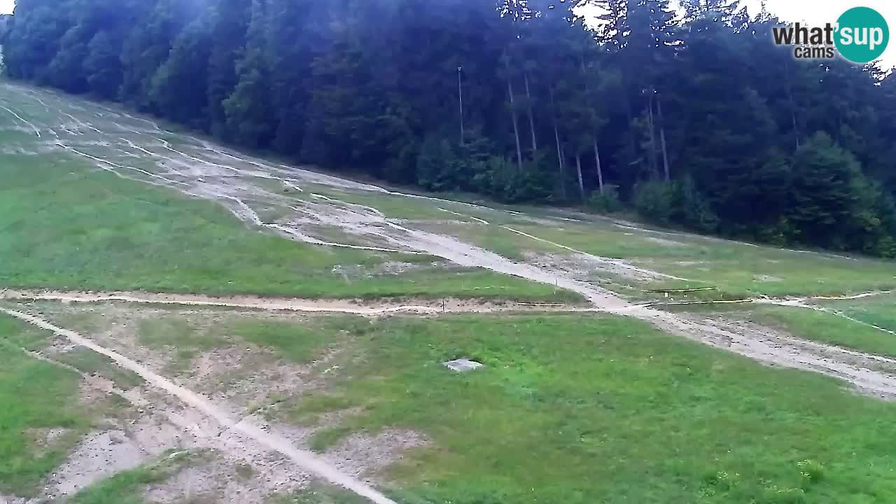 Web kamera Pohorje Trikotna Jasa | Poštela