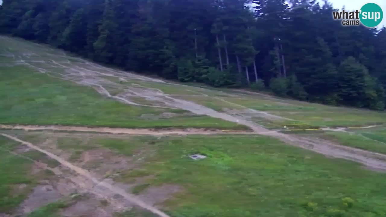 Webcam Pohorje Trikotna Jasa | Poštela